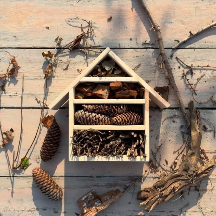 12362_Insecten Hotel