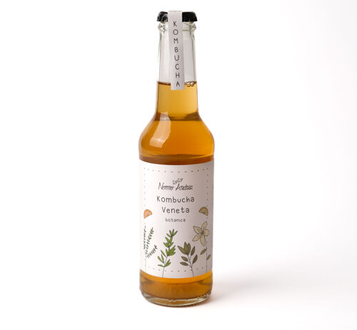 kombucha botanica