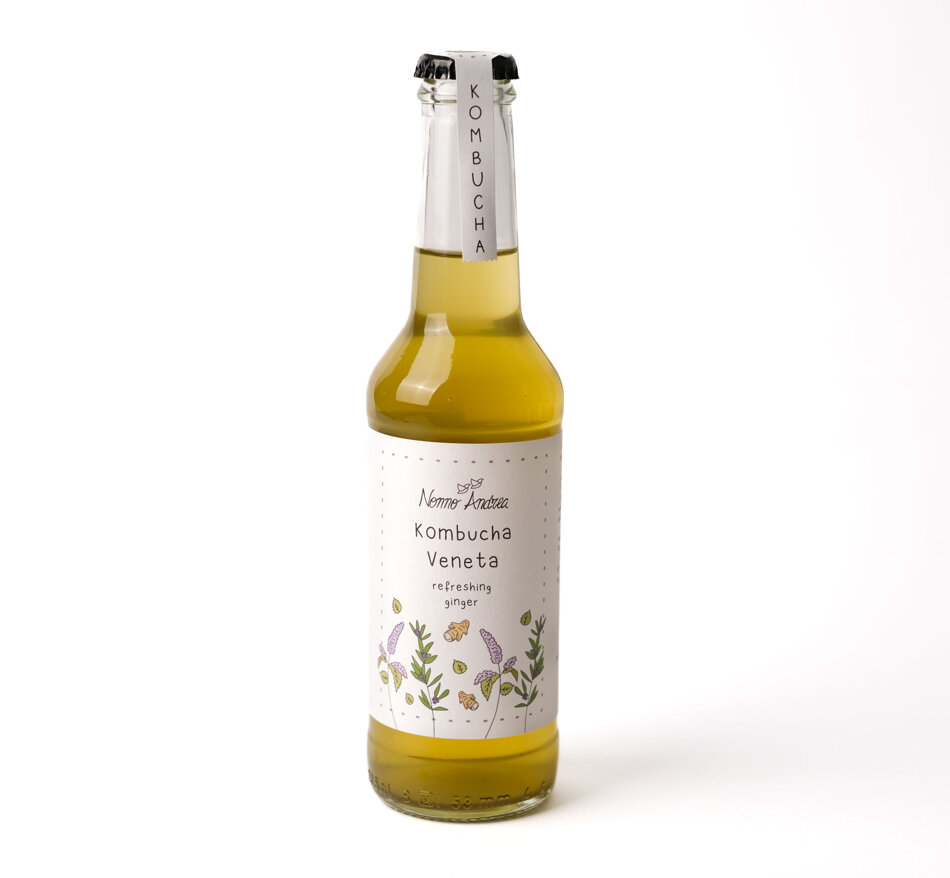kombucha refreshing ginger kombucha refreshing ginger