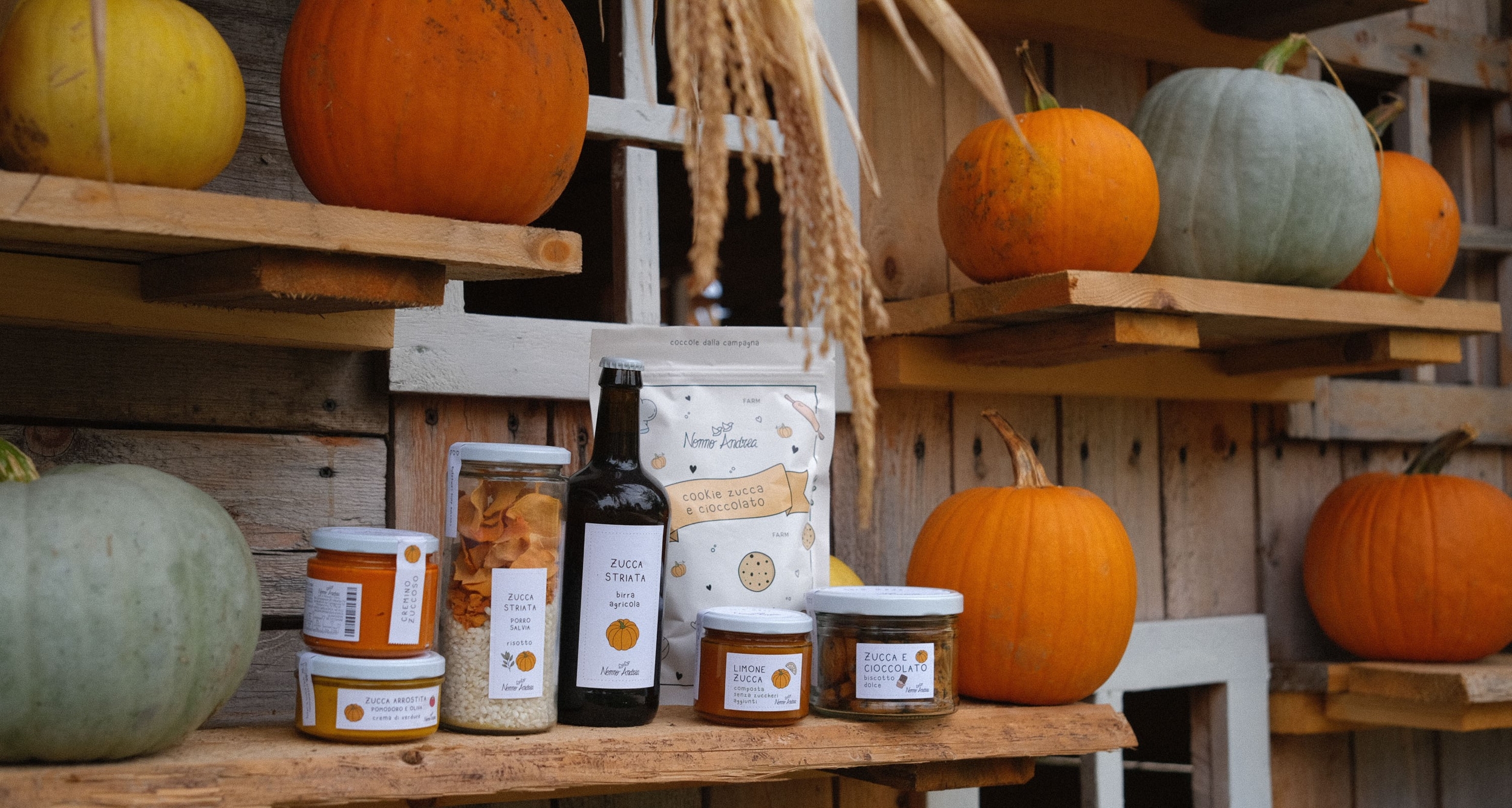 Vasetti_zucca